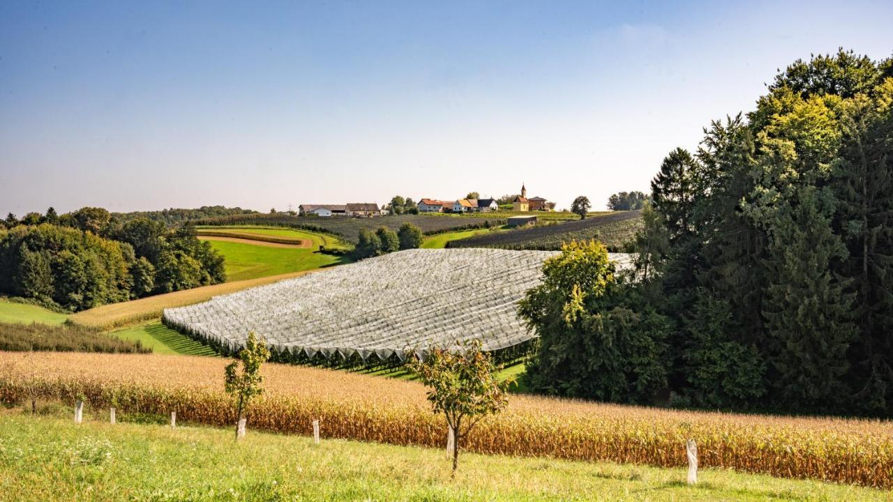Oko-Neubau Ferienhaus - Kogelbuch Comfort Villa Nestelbach bei Graz Exterior photo
